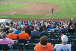 Fort Wayne tincaps game